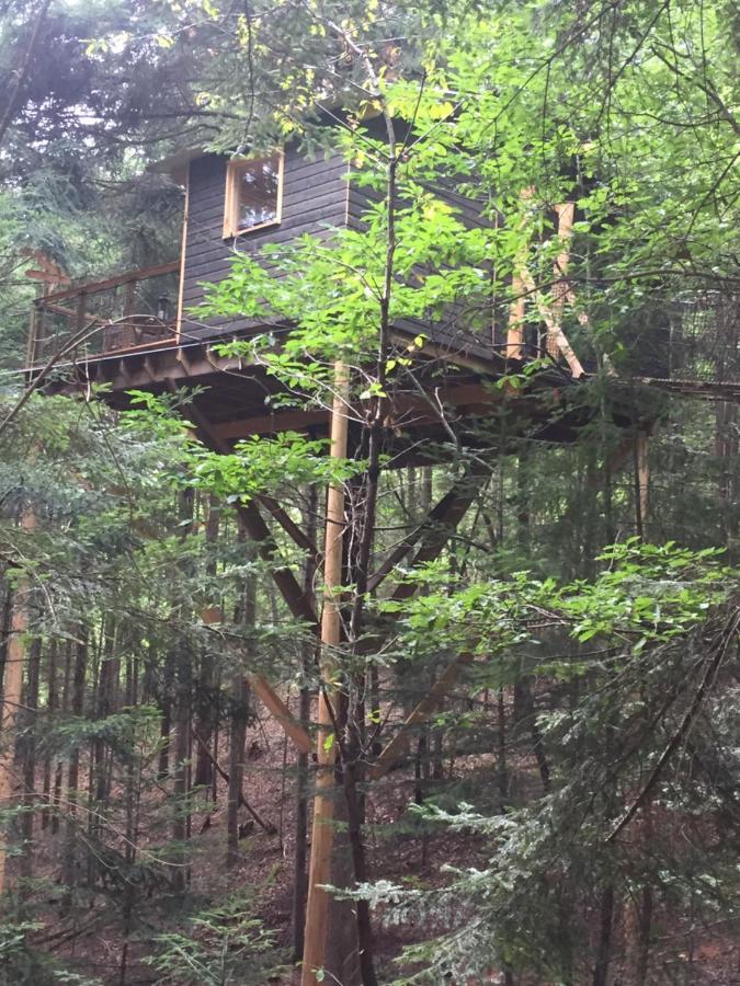 Cabane De L'Ecureuil Hotel Châtel-Guyon Kültér fotó